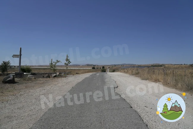 כביש הגישה לחניון הלילה מצפה נחמה - אתר הטבע הישראלי