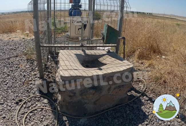 מים בחניון לילה מצפה נחמה - אתר הטבע הישראלי