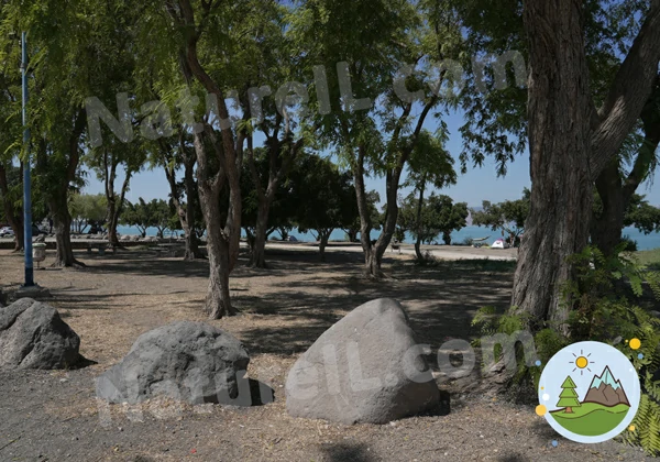 חוף כורסי - אתר הטבע הישראלי