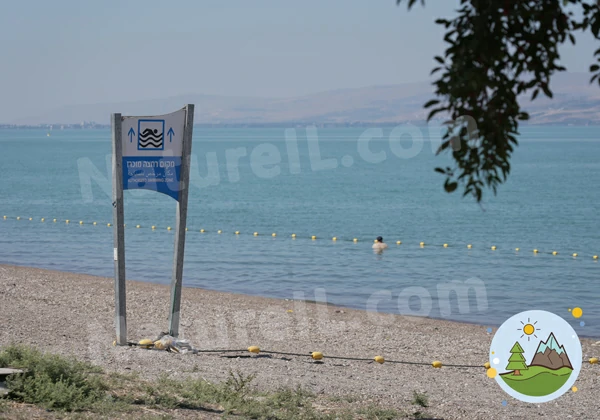 מקום רחצה מוכרז - לאתר הטבע הישראלי