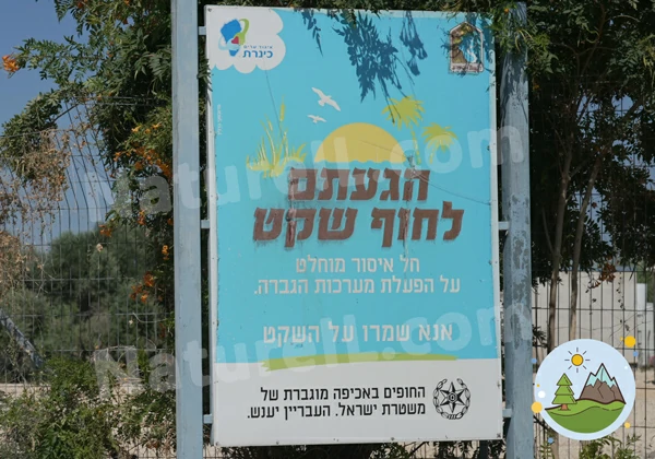 חוף שקט - אתר הטבע הישראלי